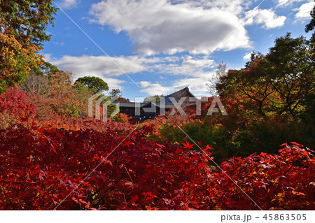 東福寺紅葉 45863505