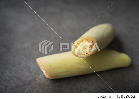 Sugar Cane Flower 45863652