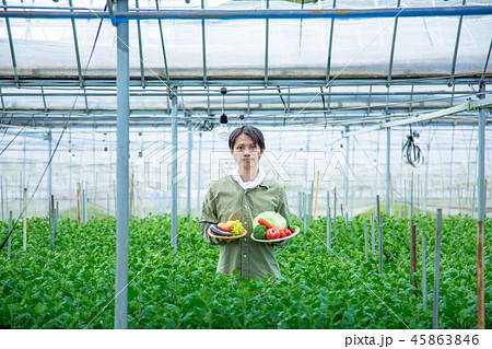 農業　男性 45863846