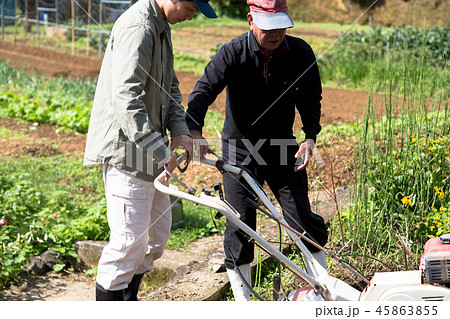 農業 男性 農業 男性 45863855