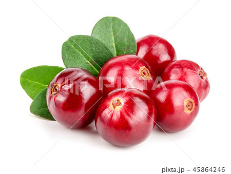 Cranberry with leaf isolated on white background closeup macro 45864246