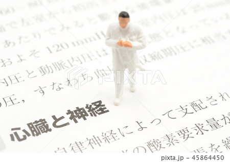 心臓と神経イメージ 45864450