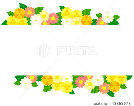 プリムラの花のフレーム プリムラの花のフレーム 45865678