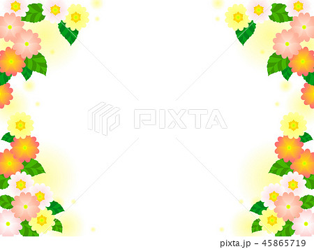 プリムラの花のフレーム 45865719