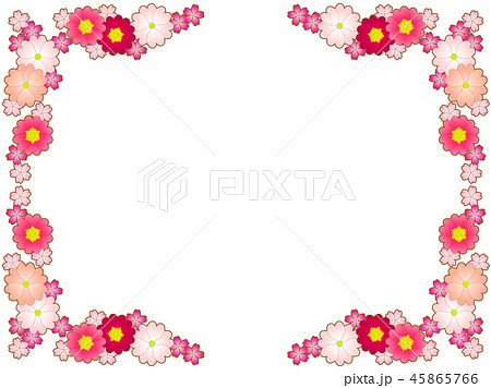 プリムラの花のフレームのイラスト素材