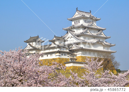 桜景　姫路城　 45865772