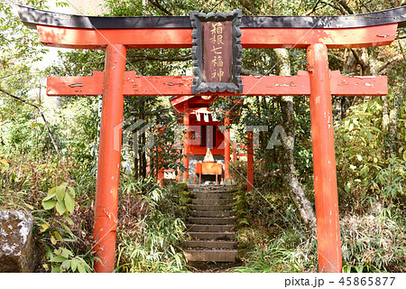 箱根七福神 箱根神社 箱根七福神 箱根神社 45865877