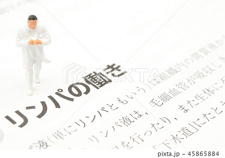 リンパイメージ 45865884