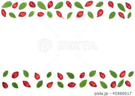 rosehip berries isolated on white background with copy space for your text. Flat lay pattern. Top 45866017