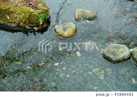 湧水の池　　安曇野市 45866492