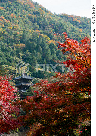 紅葉の季節の三重塔 紅葉の季節の三重塔 45866597