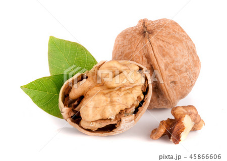 Walnuts with leaf isolated on white background Walnuts with leaf isolated on white background 45866606