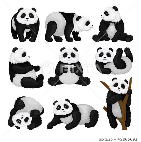Flat Vector Set Of Funny Panda In Different のイラスト素材
