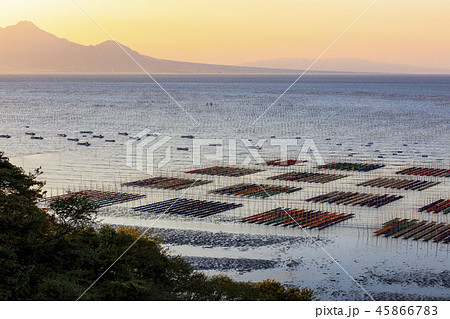 有明海海苔網解禁 45866783