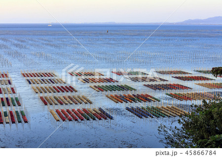 有明海海苔網解禁 45866784