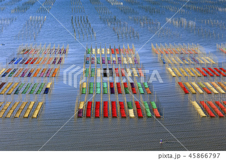 有明海海苔網解禁 有明海海苔網解禁 45866797