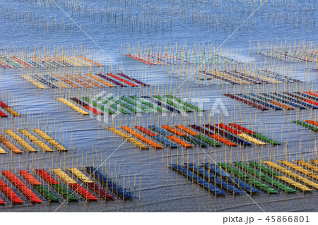 有明海海苔網解禁 45866801