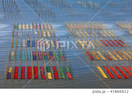 有明海海苔網解禁 有明海海苔網解禁 45866812