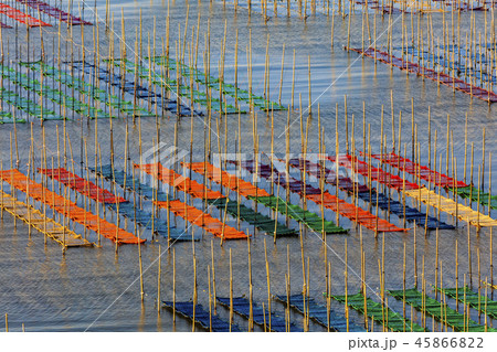 有明海海苔網解禁 45866822