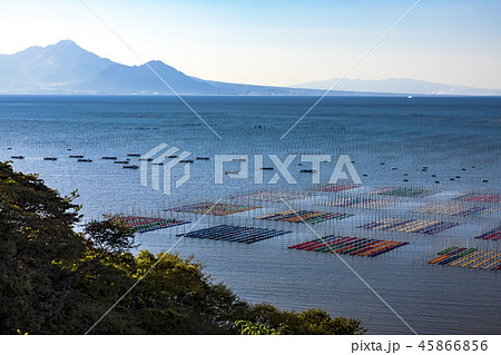 有明海海苔網解禁 有明海海苔網解禁 45866856