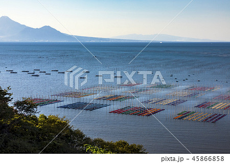 有明海海苔網解禁 有明海海苔網解禁 45866858