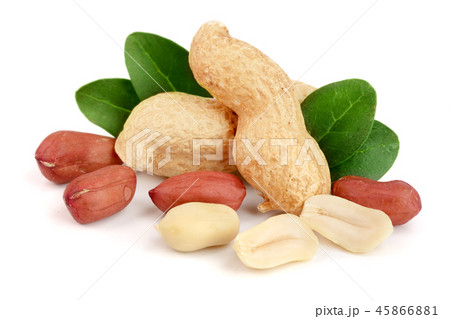 peanuts with leaf isolated on white background peanuts with leaf isolated on white background 45866881