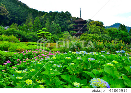 瑠璃光寺 瑠璃光寺 45866915