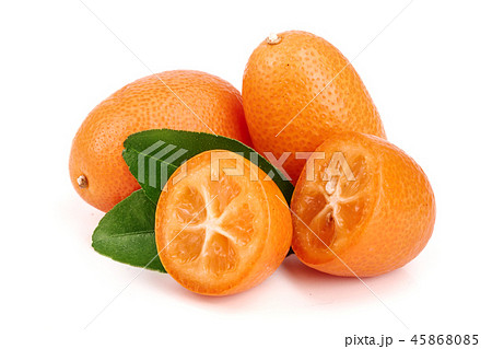 Cumquat or kumquat with leaf isolated on white background close up Cumquat or kumquat with leaf isolated on white background close up 45868085