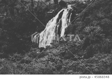 Beautiful Black and White of Waratah Falls 45868348