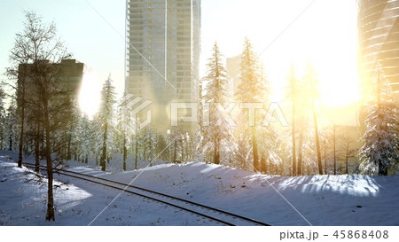 sity and forest in snow at sunrise 45868408