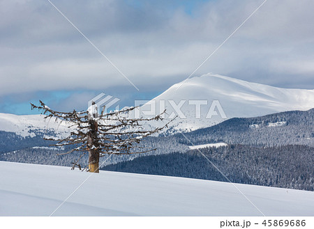Winter snowy Carpathian mountains, Ukraine 45869686