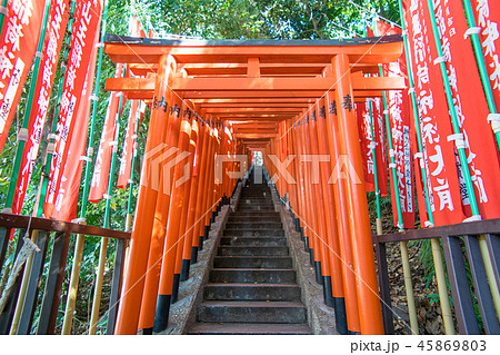 東京都 千代田区永田町 山王日枝神社 山王稲荷神社 千本鳥居の写真素材