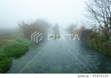 朝霧に包まれた蓼川 安曇野市 朝霧に包まれた蓼川 安曇野市 45870120