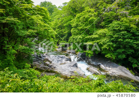 Kanmangafuchi abyss, Nikko, Japan Kanmangafuchi abyss, Nikko, Japan 45870580