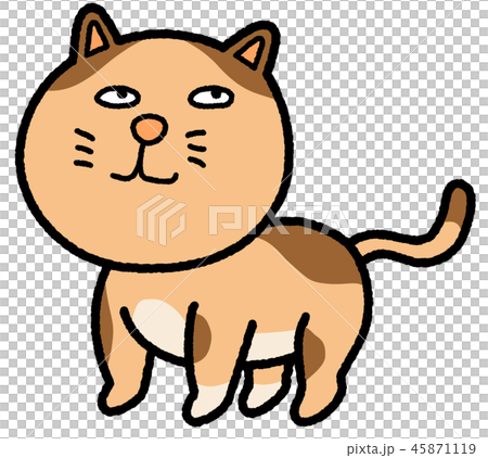 推薦貓 推薦貓 45871119