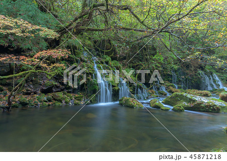 元滝伏流水 45871218