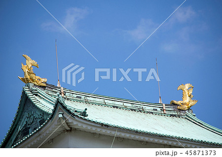 愛知県 名古屋城 金のしゃちほこ 愛知県 名古屋城 金のしゃちほこ 45871373