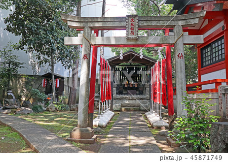 熊野神社 45871749