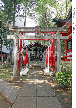 熊野神社 熊野神社 45871750