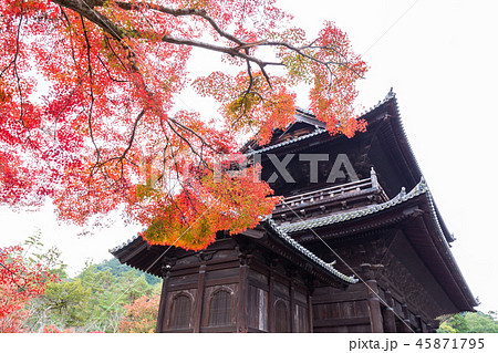 秋の南禅寺 秋の南禅寺 45871795