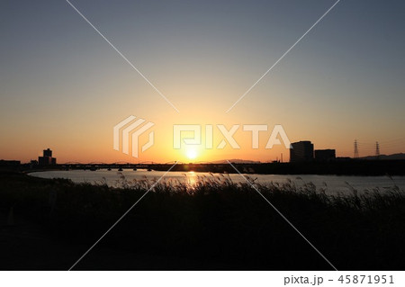 葦の穂&夕日:夕焼けの空:大阪府枚方市 葦の穂&夕日:夕焼けの空:大阪府枚方市 45871951