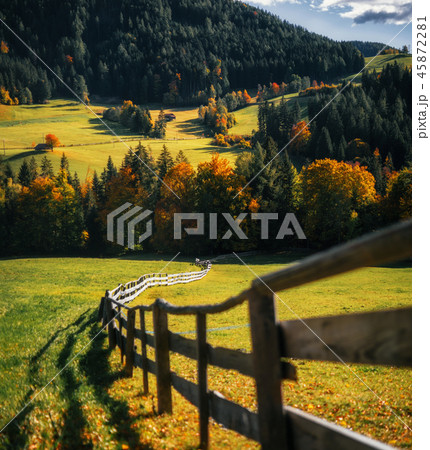 Green grass meadow with wooden fence in Italy Green grass meadow with wooden fence in Italy 45872281