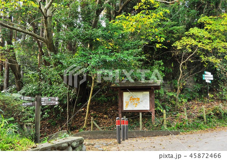 鎌倉源氏山公園の案内板と道しるべ 鎌倉源氏山公園の案内板と道しるべ 45872466