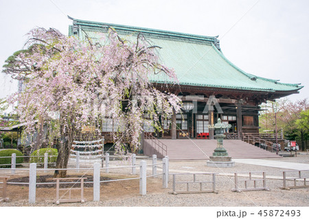 東京都 護国寺(ごこくじ) 本堂 重要文化財 東京都 護国寺(ごこくじ) 本堂 重要文化財 45872493