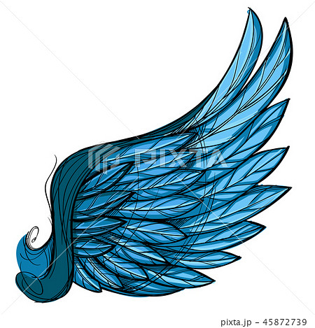 Vector illustration of blue wing, isolated on white background. 45872739
