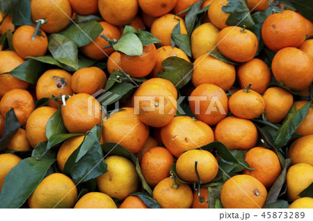 Tangerines oranges, mandarins, clementines, citrus fruits with leaves, poured into a box in a box on 45873289