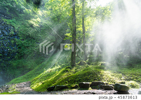 玉簾の滝 45873613