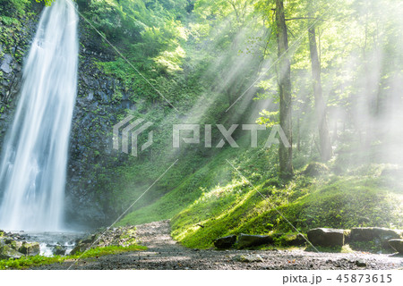 玉簾の滝 45873615
