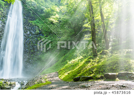 玉簾の滝 45873616