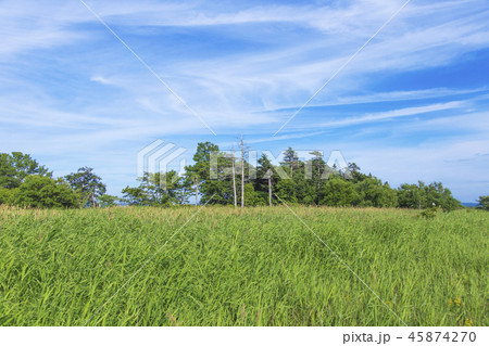 サロベツ原野 夏景 サロベツ原野 夏景 45874270